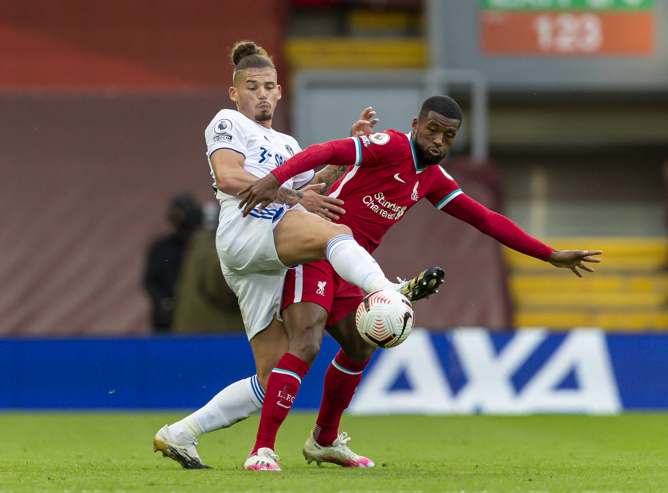 不仅展现了 不仅展现了