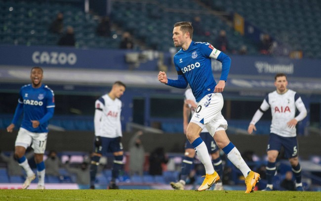 们提供了学 们提供了学